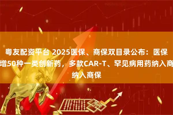 粤友配资平台 2025医保、商保双目录公布:医保新增50种一类创新药,多款CAR-T、罕见病用药纳入商保