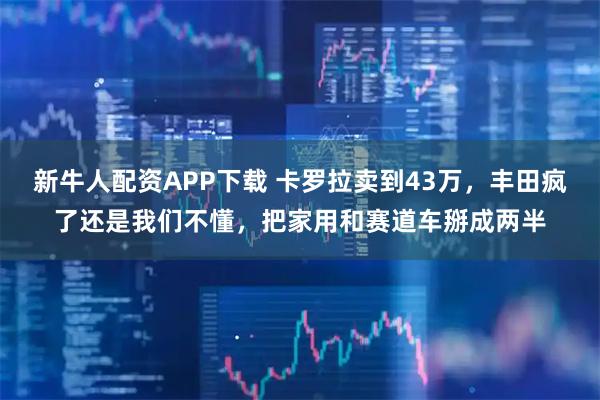 新牛人配资APP下载 卡罗拉卖到43万，丰田疯了还是我们不懂，把家用和赛道车掰成两半